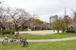 志賀公園、３月春の花、名古屋市北区の観光・撮影スポットの名所