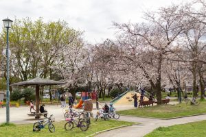 志賀公園、３月春の花、名古屋市北区の観光・撮影スポットの名所