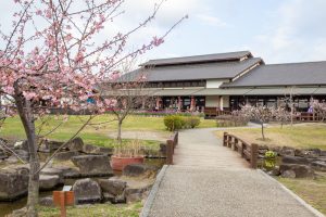 佐布里緑と花のふれあい公園、梅園、2月の春の花、愛知県知多市の観光・撮影スポットの名所