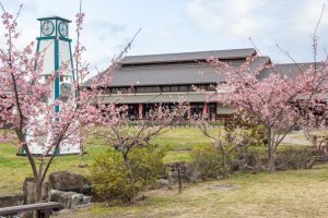佐布里緑と花のふれあい公園、梅園、2月の春の花、愛知県知多市の観光・撮影スポットの名所