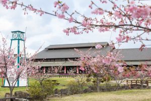 佐布里緑と花のふれあい公園、梅園、2月の春の花、愛知県知多市の観光・撮影スポットの名所