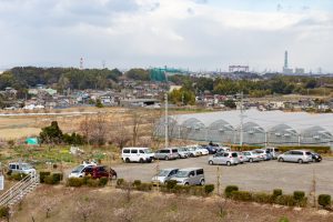 佐布里緑と花のふれあい公園、梅園、2月の春の花、愛知県知多市の観光・撮影スポットの名所