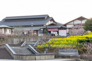 佐布里緑と花のふれあい公園、梅園、2月の春の花、愛知県知多市の観光・撮影スポットの名所