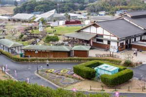 佐布里緑と花のふれあい公園、梅園、2月の春の花、愛知県知多市の観光・撮影スポットの名所