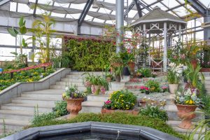 佐布里緑と花のふれあい公園、梅園、2月の春の花、愛知県知多市の観光・撮影スポットの名所