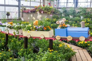 佐布里緑と花のふれあい公園、梅園、2月の春の花、愛知県知多市の観光・撮影スポットの名所