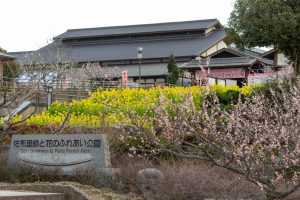 佐布里緑と花のふれあい公園、梅園、2月の春の花、愛知県知多市の観光・撮影スポットの名所