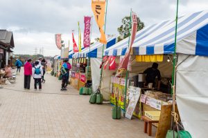 佐布里緑と花のふれあい公園、梅園、2月の春の花、愛知県知多市の観光・撮影スポットの名所