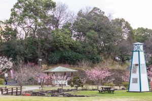 佐布里緑と花のふれあい公園、梅園、2月の春の花、愛知県知多市の観光・撮影スポットの名所