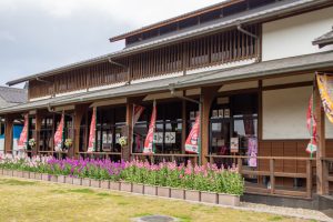 佐布里緑と花のふれあい公園、梅園、2月の春の花、愛知県知多市の観光・撮影スポットの名所