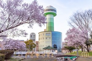 すいとぴあ江南、桜、３月春の花、愛知県江南市の観光・撮影スポットの画像と写真