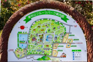 東谷山フルーツパーク、2月の春の花、名古屋市守山区の観光・撮影スポットの名所