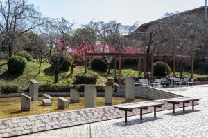 東谷山フルーツパーク、梅園、2月の春の花、名古屋市守山区の観光・撮影スポットの名所