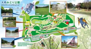 大府みどり公園（ミモザ）4月の春の花、愛知県大府市の観光・撮影スポットの画像や写真