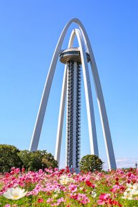 138タワーパーク、コスモス、ツインアーチ138、10月の秋の花、愛知県一宮市の観光・撮影スポットの画像と写真