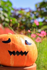 138タワーパーク、ハロウィン、10月の秋の花、愛知県一宮市の観光・撮影スポットの画像と写真