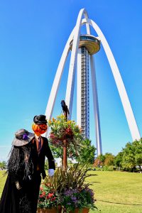 138タワーパーク、ハロウィン、10月の秋の花、愛知県一宮市の観光・撮影スポットの画像と写真