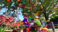 138タワーパーク、ハロウィン、10月の秋の花、愛知県一宮市の観光・撮影スポットの画像と写真