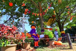 138タワーパーク、ハロウィン、10月の秋の花、愛知県一宮市の観光・撮影スポットの画像と写真