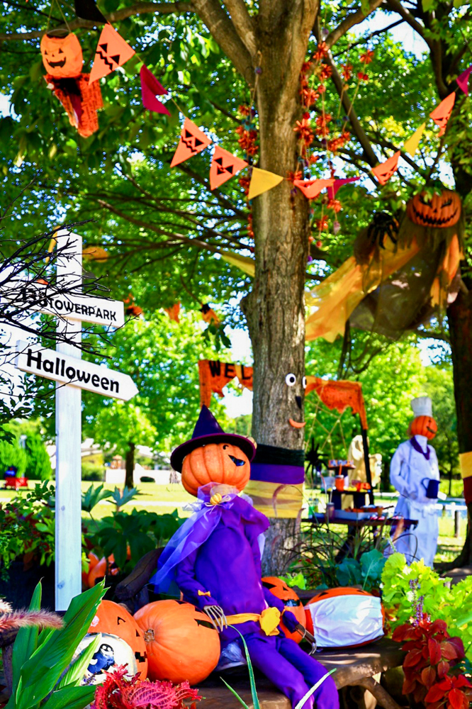 138タワーパーク、ハロウィン、10月の秋の花、愛知県一宮市の観光・撮影スポットの画像と写真
