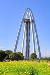 138タワーパーク、コスモス、ツインアーチ138、10月の秋の花、愛知県一宮市の観光・撮影スポットの画像と写真