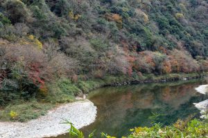 愛岐トンネル、紅葉、11月秋、愛知県春日井市の観光・撮影スポットの名所