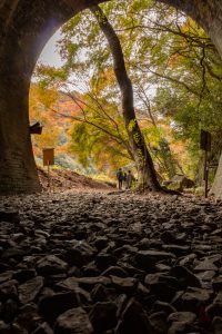 愛岐トンネル、紅葉、11月秋、愛知県春日井市の観光・撮影スポットの名所