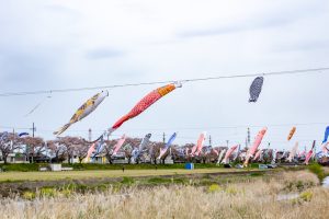 相川水辺公園、さくら、鯉のぼり、4月春、岐阜県不破郡の観光・撮影スポットの画像と写真