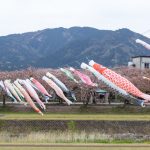 相川水辺公園、さくら、鯉のぼり、4月春、岐阜県不破郡の観光・撮影スポットの画像と写真