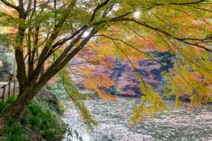 穴弘法、紅葉、ライトアップ、11月秋、岐阜県土岐市の観光・撮影スポットの画像と写真