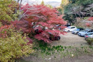 穴弘法、紅葉、ライトアップ、11月秋、岐阜県土岐市の観光・撮影スポットの画像と写真
