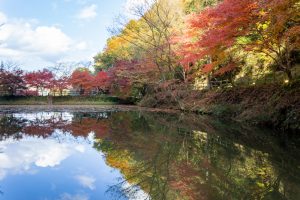 穴弘法、紅葉、ライトアップ、11月秋、岐阜県土岐市の観光・撮影スポットの画像と写真