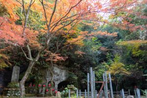 穴弘法、紅葉、ライトアップ、11月秋、岐阜県土岐市の観光・撮影スポットの画像と写真