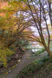 穴弘法、紅葉、ライトアップ、11月秋、岐阜県土岐市の観光・撮影スポットの画像と写真