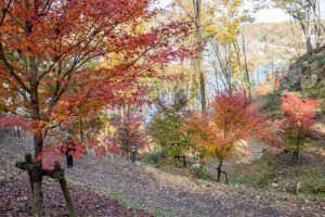 恵那峡さざなみ公園、紅葉。11月秋、岐阜県恵那市の観光・撮影スポットの名所