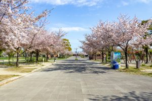フローラルガーデンよさみ、桜、4月春の花、愛知県刈谷市の観光・撮影スポットの画像と写真