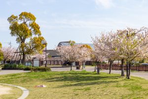 フローラルガーデンよさみ、桜、4月春の花、愛知県刈谷市の観光・撮影スポットの画像と写真