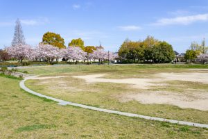 フローラルガーデンよさみ、桜、4月春の花、愛知県刈谷市の観光・撮影スポットの画像と写真