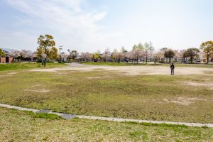 フローラルガーデンよさみ、桜、4月春の花、愛知県刈谷市の観光・撮影スポットの画像と写真