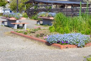 フローラルガーデンよさみ、4月春の花、愛知県刈谷市の観光・撮影スポットの画像と写真