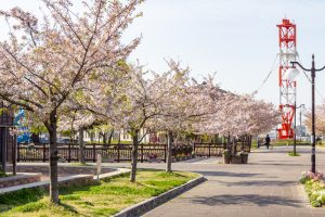 フローラルガーデンよさみ、桜、4月春の花、愛知県刈谷市の観光・撮影スポットの画像と写真
