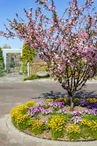 フローラルガーデンよさみ、4月春の花、愛知県刈谷市の観光・撮影スポットの画像と写真