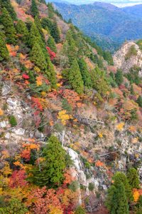 御在所ロープウェイ、紅葉、11月秋、三重県三重郡の観光・撮影スポットの名所