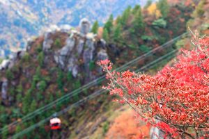 御在所ロープウェイ、紅葉、11月秋、三重県三重郡の観光・撮影スポットの名所