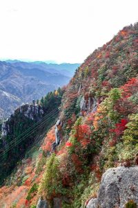 御在所ロープウェイ、紅葉、11月秋、三重県三重郡の観光・撮影スポットの名所