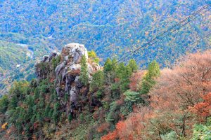 御在所ロープウェイ、紅葉、11月秋、三重県三重郡の観光・撮影スポットの名所