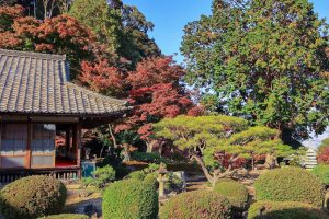 行基寺、紅葉、11月秋、岐阜県海津市の観光・撮影スポットの画像と写真