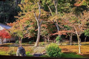 行基寺、紅葉、11月秋、岐阜県海津市の観光・撮影スポットの画像と写真