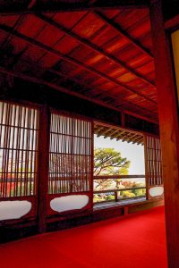 行基寺、岐阜県海津市の観光・撮影スポットの画像と写真