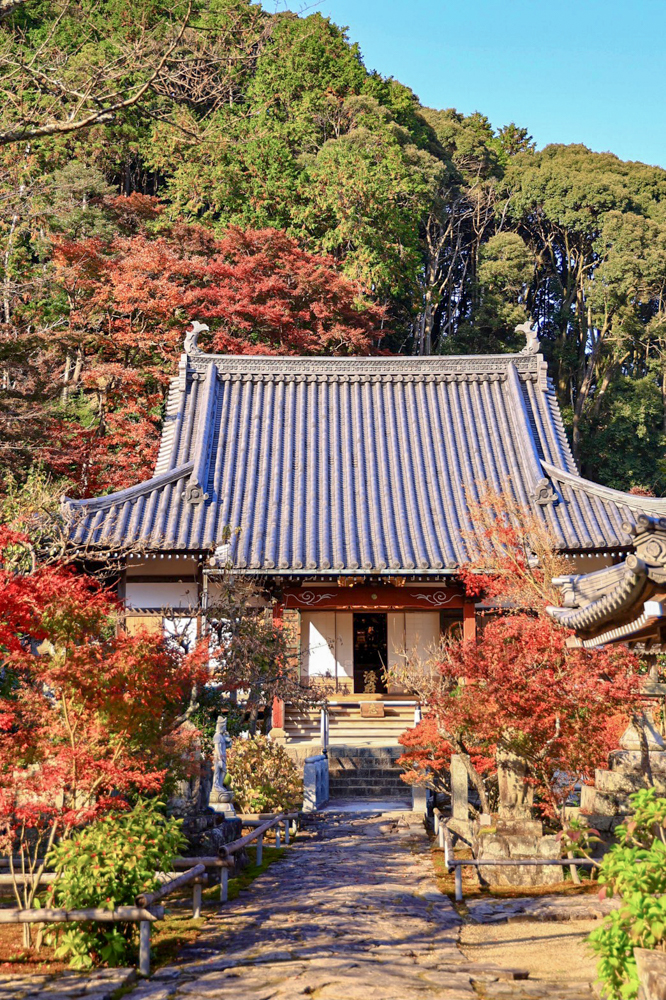行基寺、紅葉、11月秋、岐阜県海津市の観光・撮影スポットの画像と写真